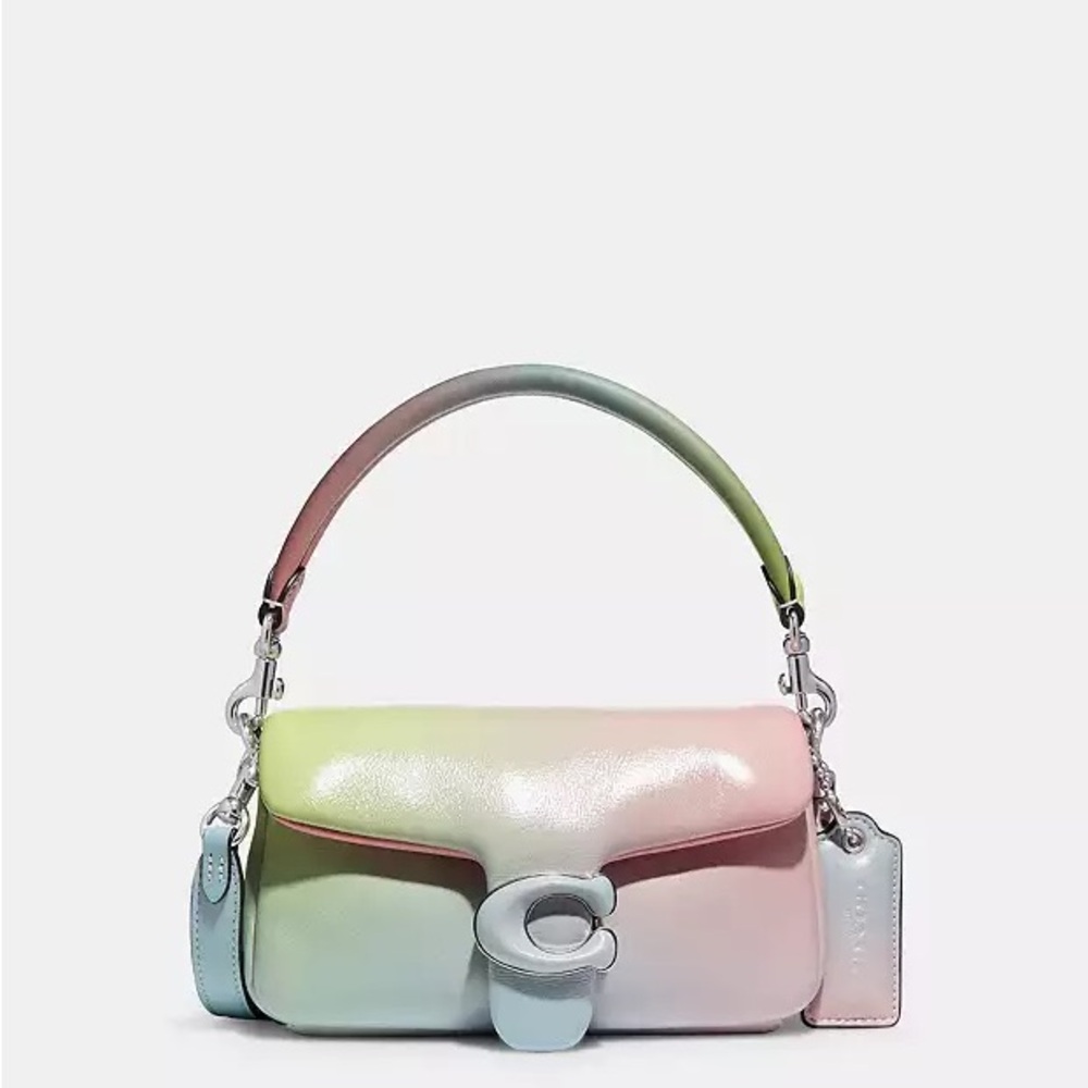 Coach Pastel Ombré Pillow Tabby 18